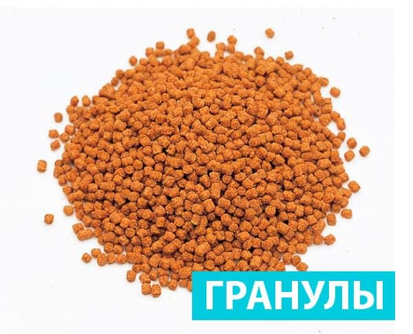 гранулы гранулы