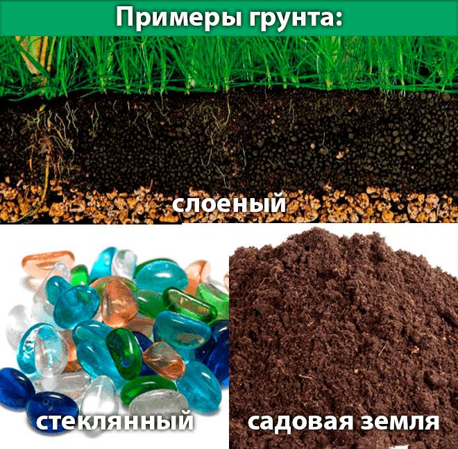 примеры грунта примеры грунта