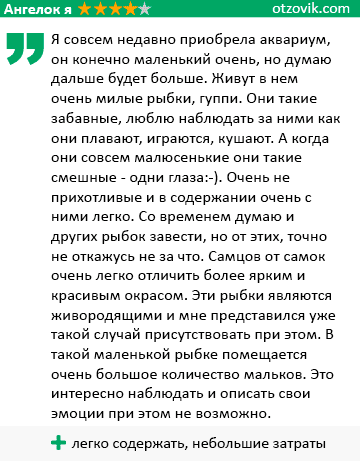 отзыв о гуппи эндлера отзыв о гуппи эндлера