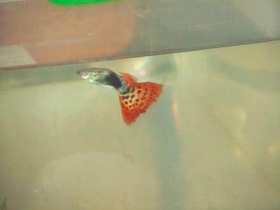 искривился позвоночник искривился позвоночник