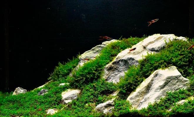 камни камни