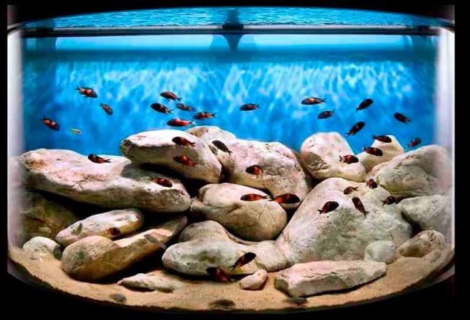 камни камни