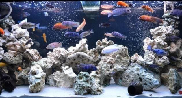 Камни в аквариуме Камни в аквариуме