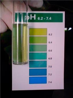 кислотность кислотность