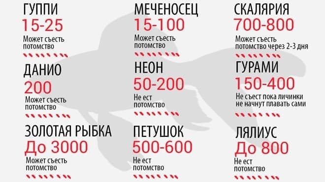 Количество потомства Количество потомства