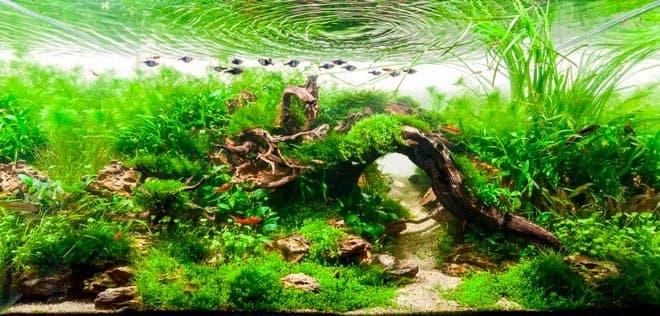 коллекторский коллекторский