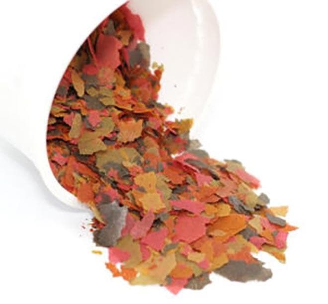 корм из зоомагазина корм из зоомагазина