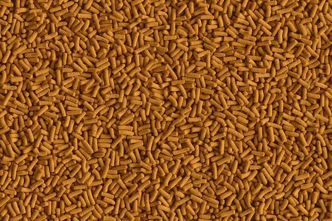 корм палочки корм палочки