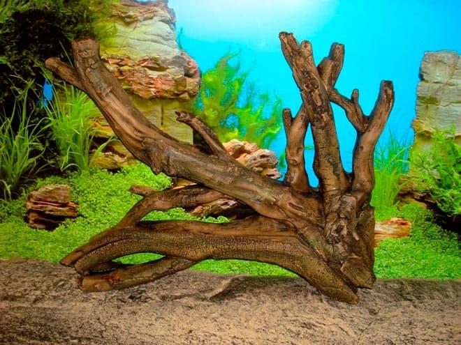 коряги коряги