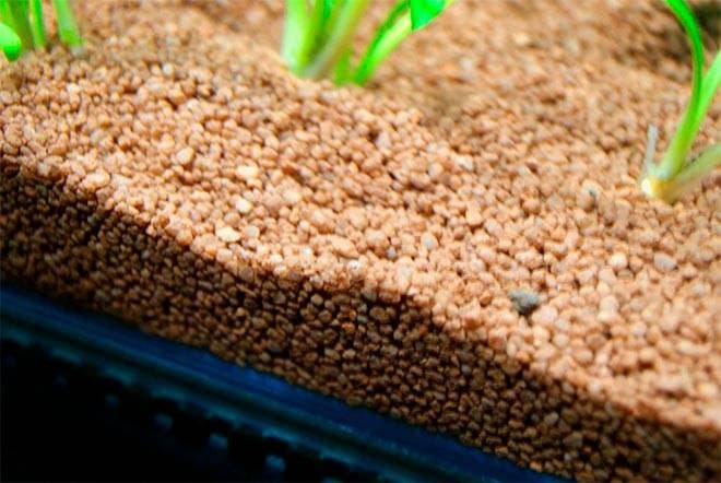 Грунт в аквариуме Грунт в аквариуме
