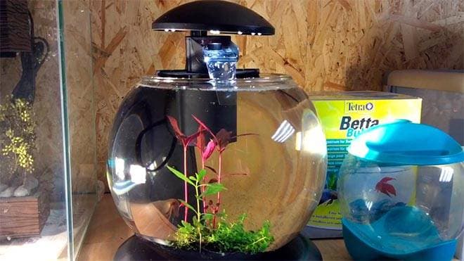 круглый аквариум tetra круглый аквариум tetra