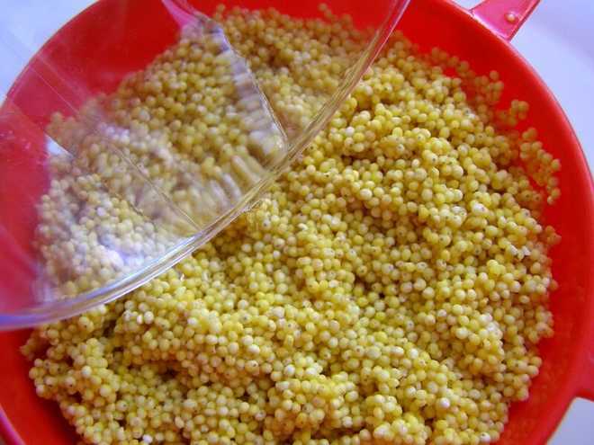 крупы крупы