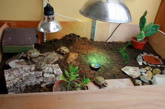 лампы в террариуме лампы в террариуме