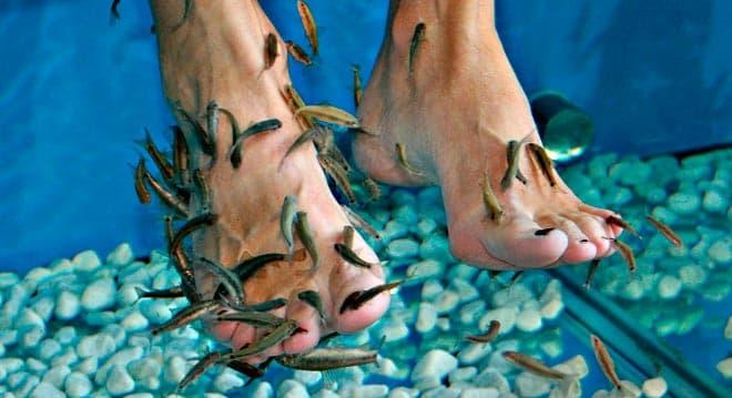 лечебное действие лечебное действие