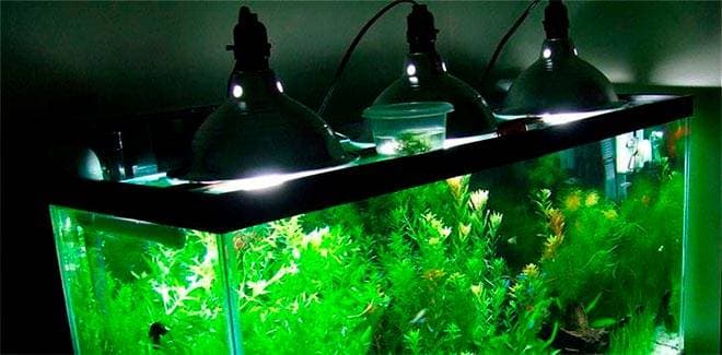 Металлогалогенной лампы Металлогалогенной лампы