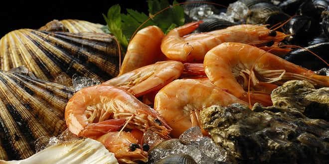 моллюски моллюски