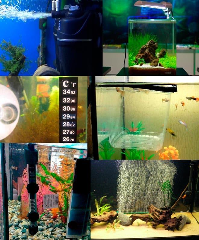 оборудование в аквариуме