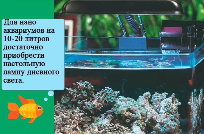 освещение маленького аквариума освещение маленького аквариума