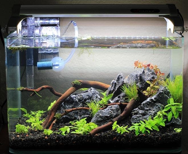 освещение нано аквариума освещение нано аквариума