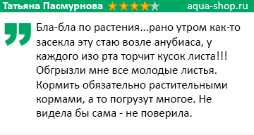 отзыв о барбрусах отзыв о барбрусах