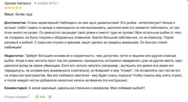 отзыв отзыв