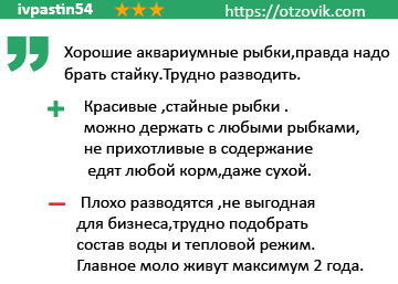 отзыв о миноре 1 отзыв о миноре 1