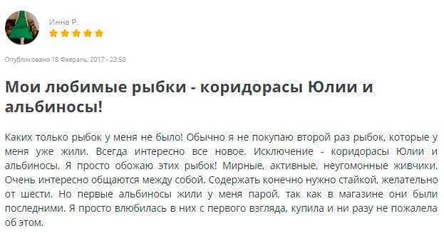 отзыв о коридорасе отзыв о коридорасе