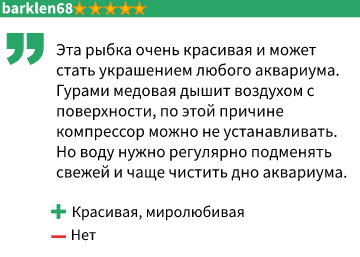 отзыв1 отзыв1