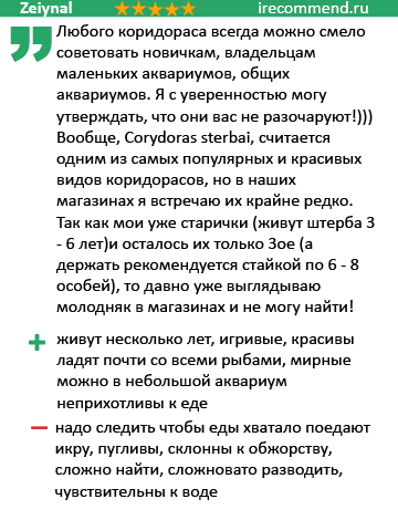 Коридорас Штерба отзывы Коридорас Штерба отзывы