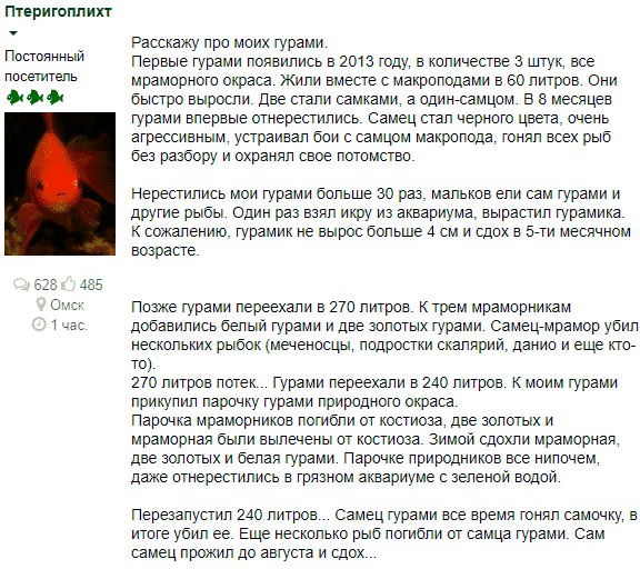 отзыв отзыв