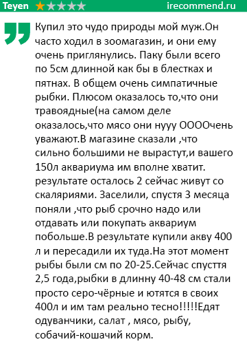 отзыв о рыбе паку отзыв о рыбе паку