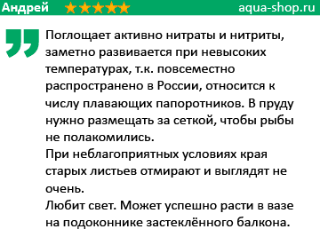 отзыв о сальвинии отзыв о сальвинии