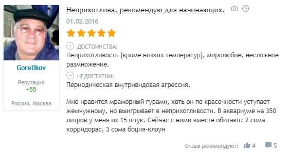 отзыв отзыв