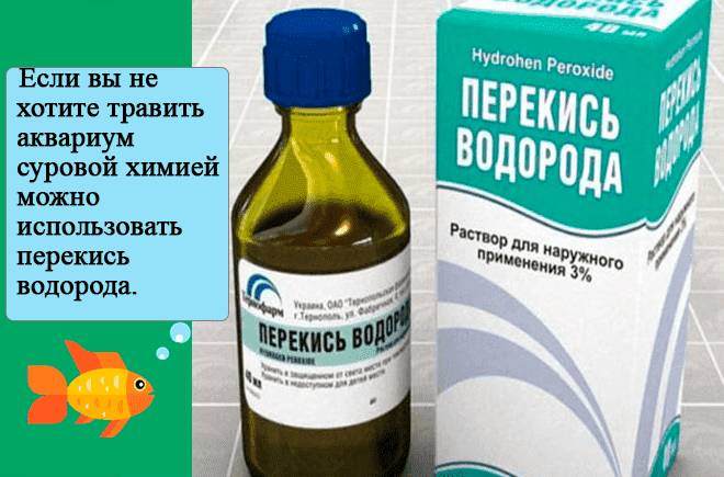 перекись водорода от водорослей перекись водорода от водорослей