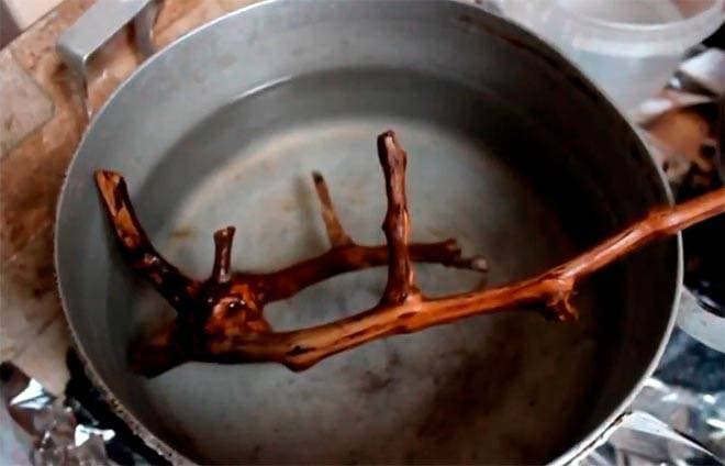 Кипячение коряги Кипячение коряги