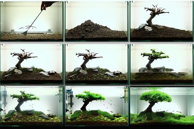 подготовка нано аквариума подготовка нано аквариума