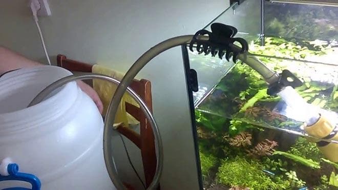 подмена воды и чистка аквариума