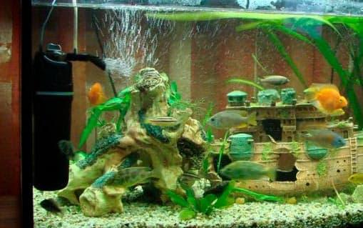 помпа помпа