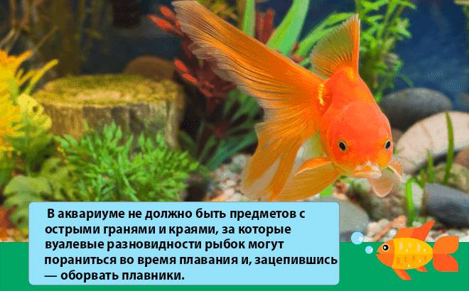 острые предметы острые предметы