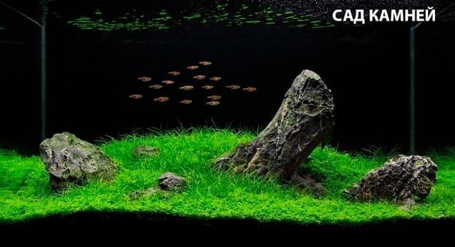 природный сад камней