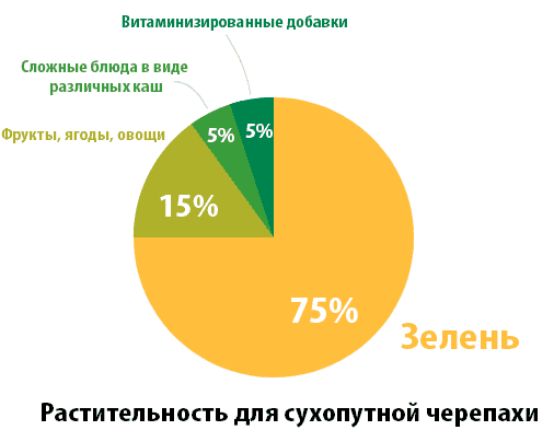 растительность для сухопутной черепахи растительность для сухопутной черепахи