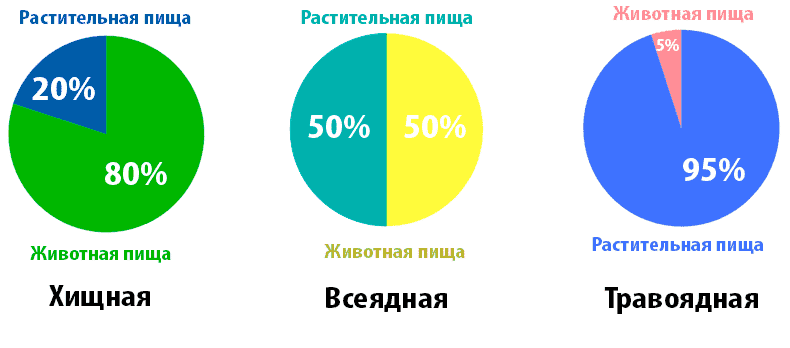 рацион питания рацион питания