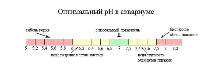 показатели рн для аквариума показатели рн для аквариума