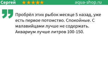 Отзыв Отзыв