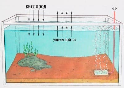 схема движения в аквариуме схема движения в аквариуме