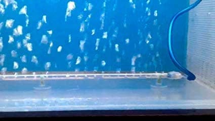 шланги шланги