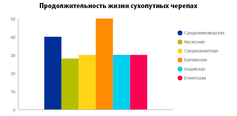 сколько живут сухопутные черепахи сколько живут сухопутные черепахи