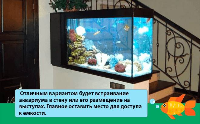 аквариум в стене аквариум в стене