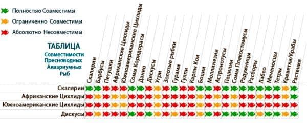 таблица совместимости цихлид таблица совместимости цихлид
