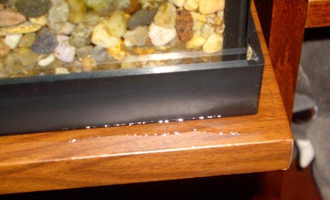 течет аквариум течет аквариум